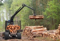 Лесопользователи Костромской области  с начала года перечислили в бюджет более 1,2 млрд рублей