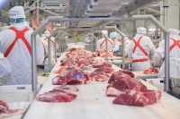 Производство мяса в Тамбовской области за январь-июль 2022 года выросло на 7,4%
