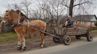 Не средство передвижения, а роскошь: жителям Ивановской области понадобится 10,3 года, чтобы купить новый автомобиль