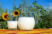 Тамбовские сельхозорганизации на 12% увеличили производство молока
