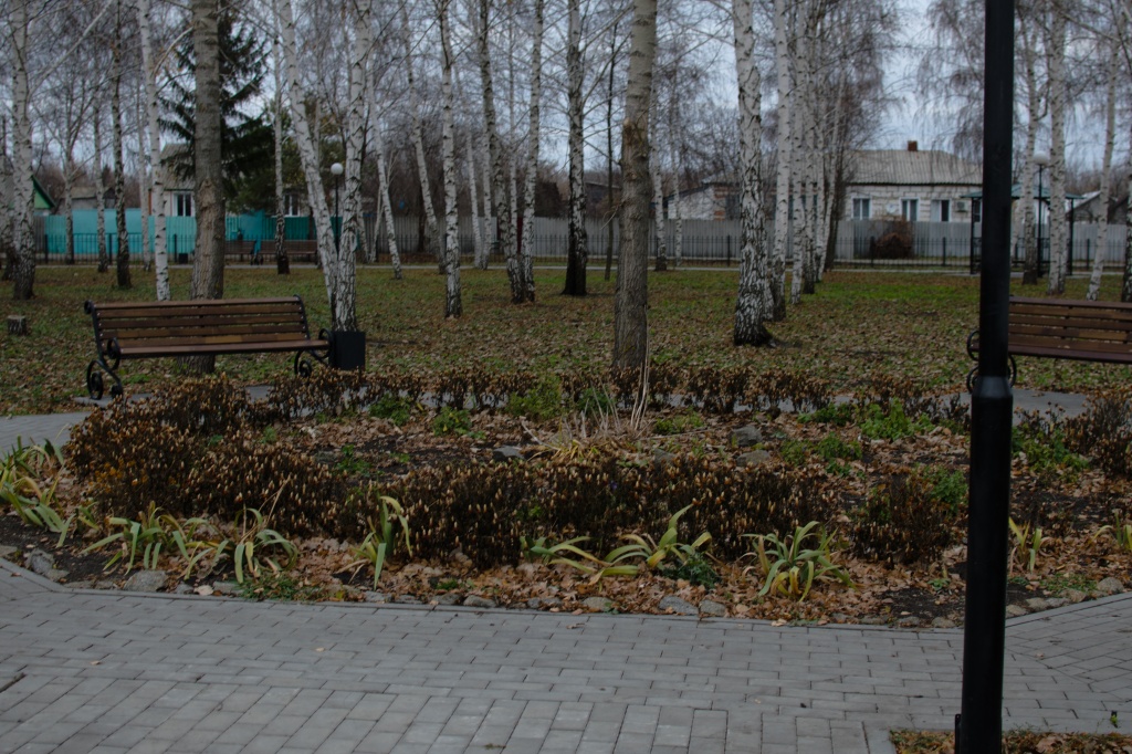 DSC_0467.JPG