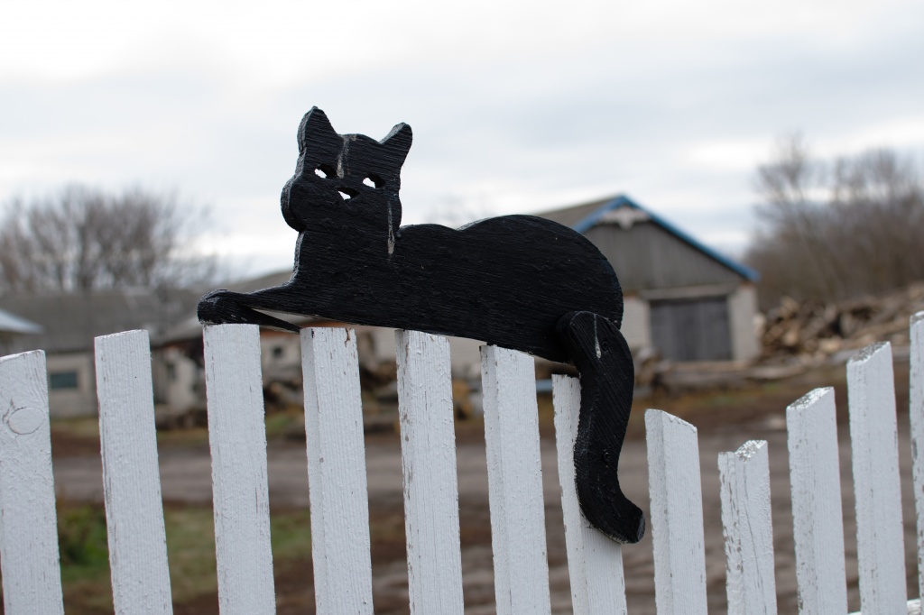 DSC_0504.JPG
